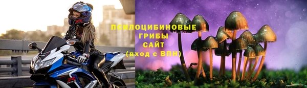 гидра Белокуриха