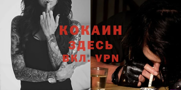 гидра Белокуриха