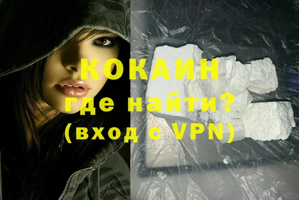 гидра Белокуриха