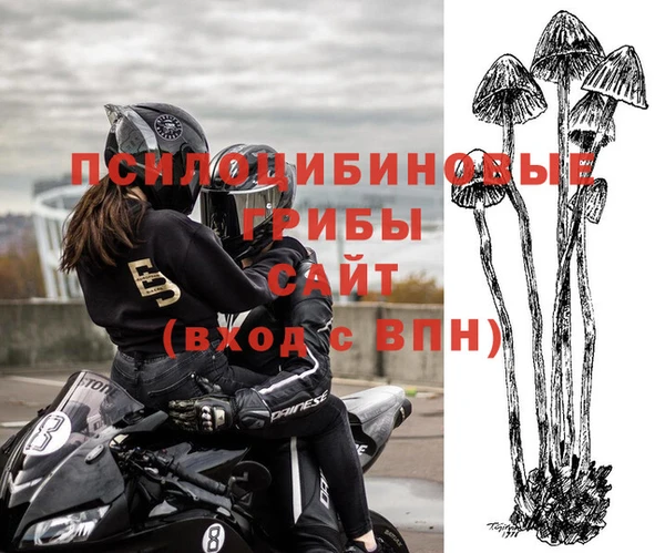 гидра Белокуриха