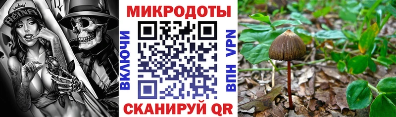Купить закладки  Белоозёрский  Псилоцибиновые грибы мицелий 